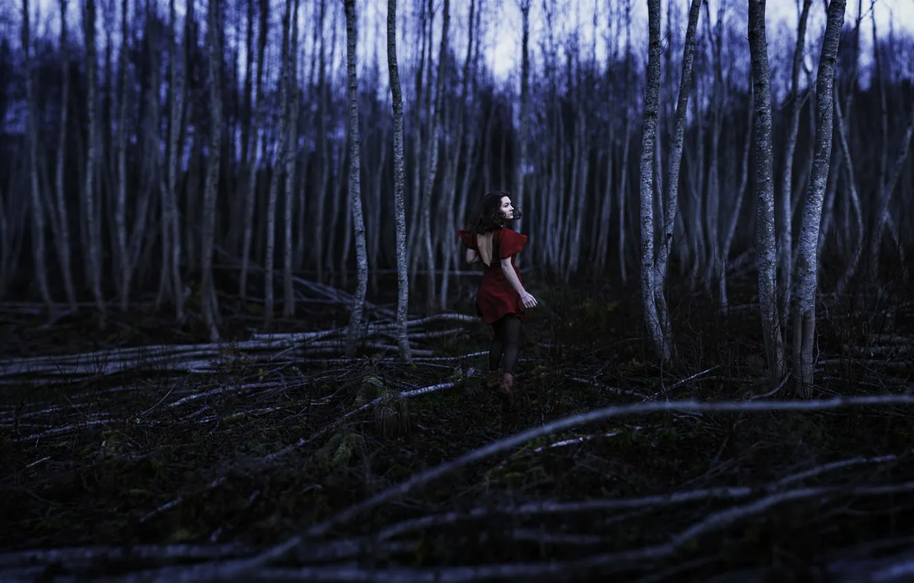 Фото обои лес, девушка, ночь