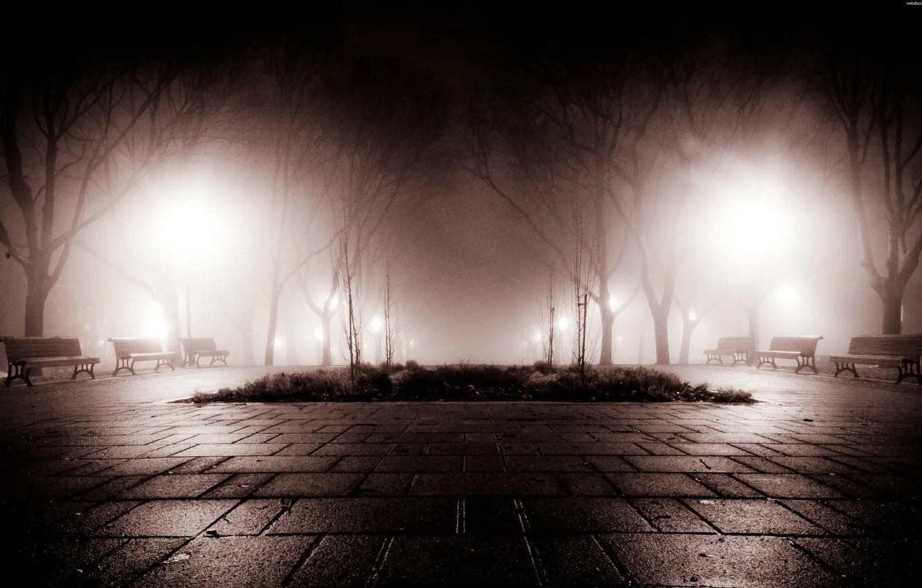 Фото обои ночь, туман, парк