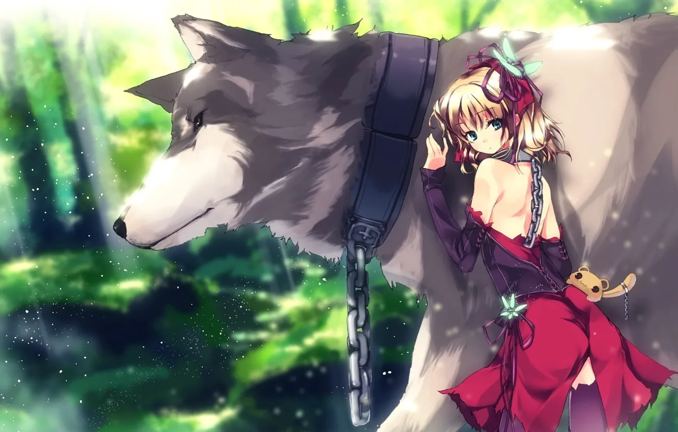 Фото обои волк, цепь, девочка, wolf