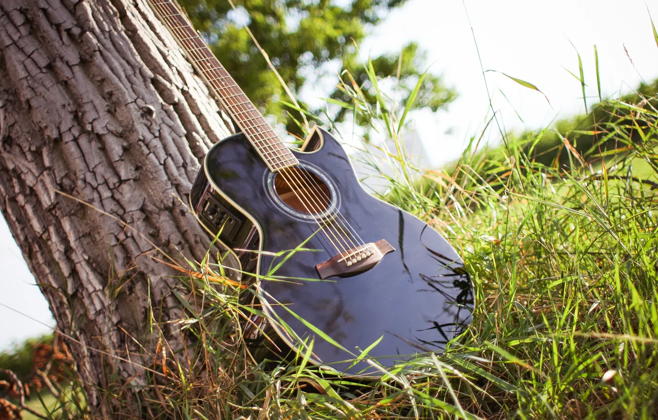 Фото обои guitar, grass, tree
