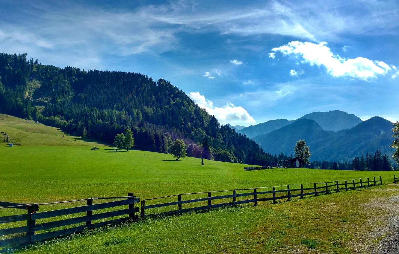 Фото обои поле, лес, лето, облака, деревья, горы, природа, забор