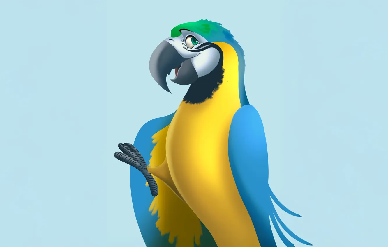 Фото обои macaw, vibrant