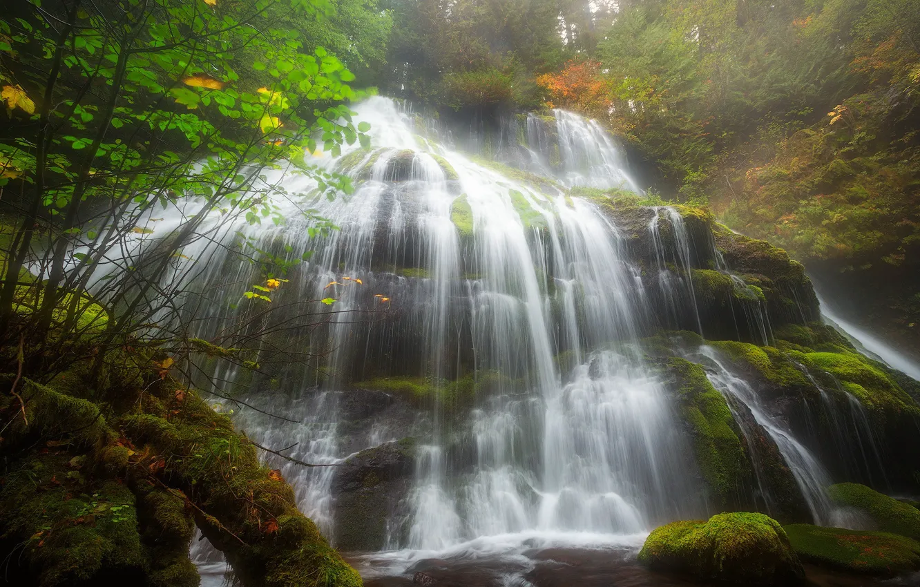 Фото обои вода, деревья, камни, водопад, мох