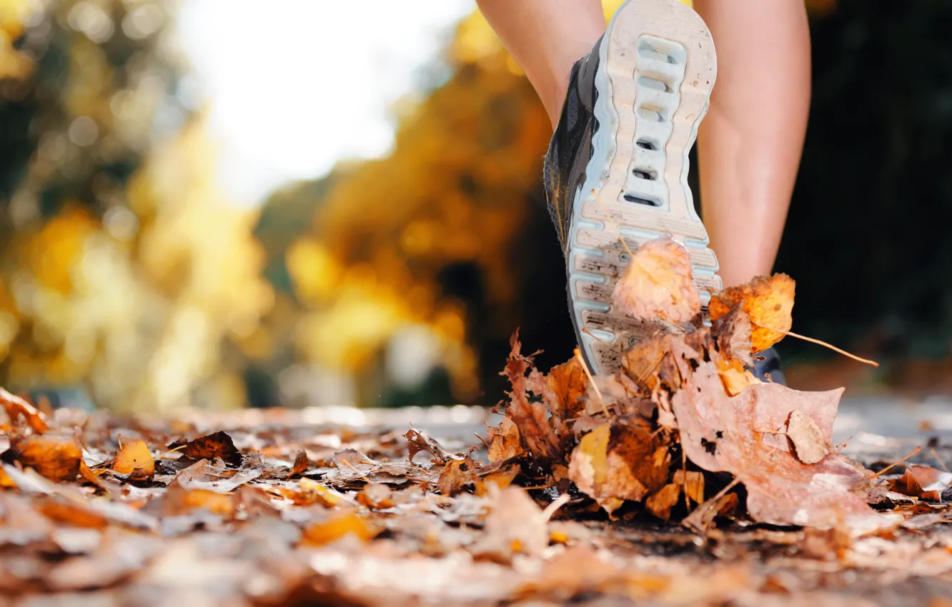 Фото обои leaves, exercise, walking, sports shoes