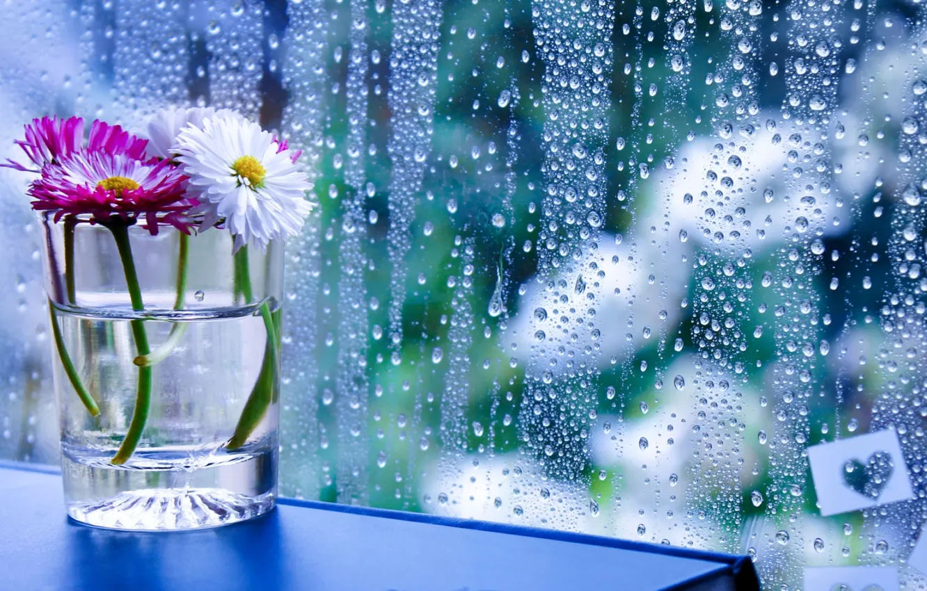 Фото обои стекло, капли, цветы, стакан