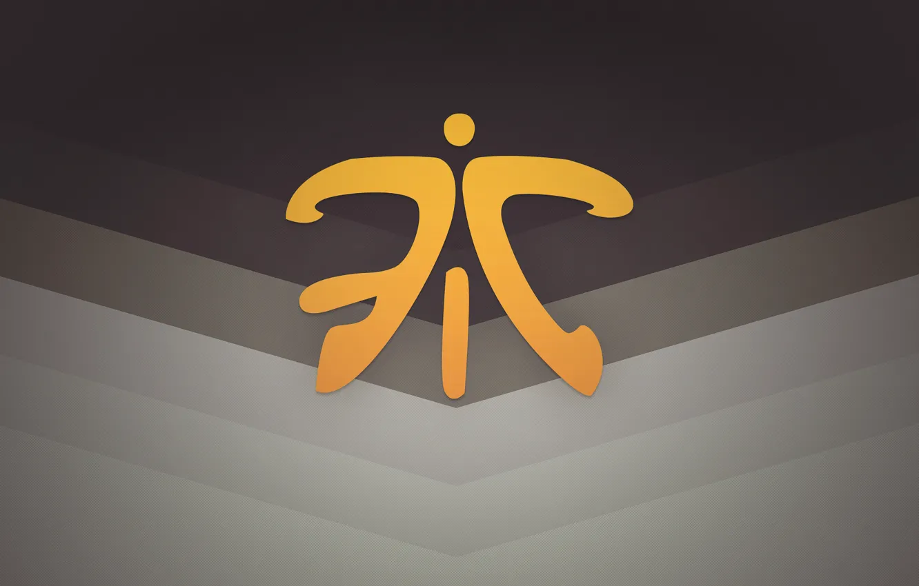 группа стим fnatic фото 86