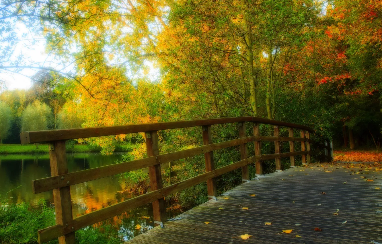 Фото обои осень, лес, листья, вода, деревья, мост, природа, парк