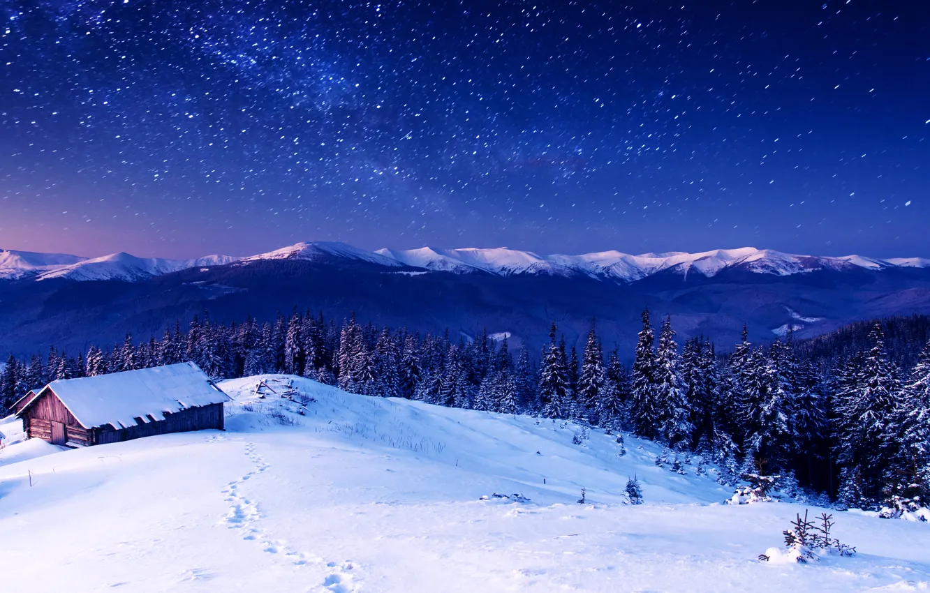 Фото обои зима, лес, небо, снег, деревья, горы, домики