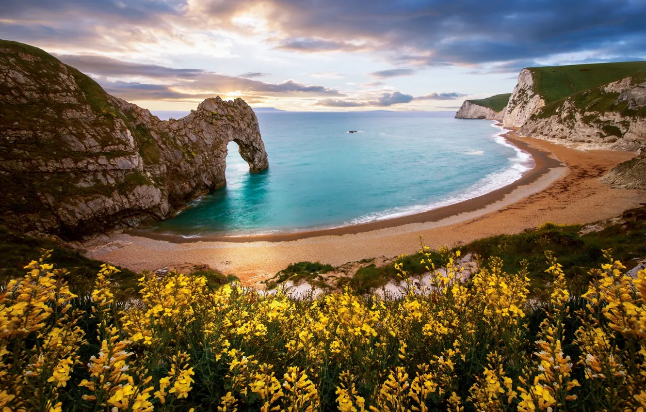 Фото обои море, пляж, цветы, природа, скала, арка