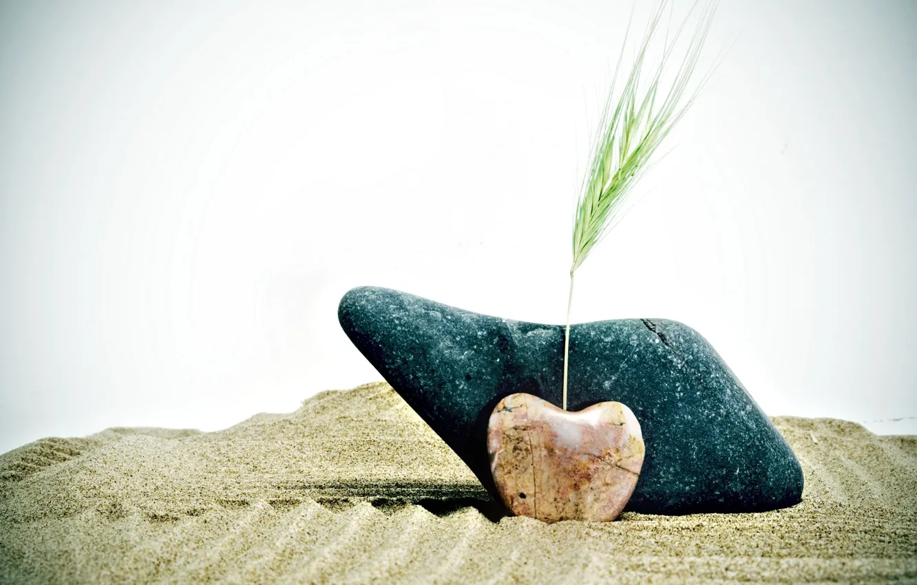Фото обои песок, пшеница, камни, фон, widescreen, обои, настроения, сердце