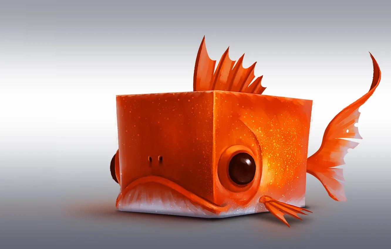 Фото обои рыбка, арт, кубик, квадрат, Red fish Cube, romain flamand