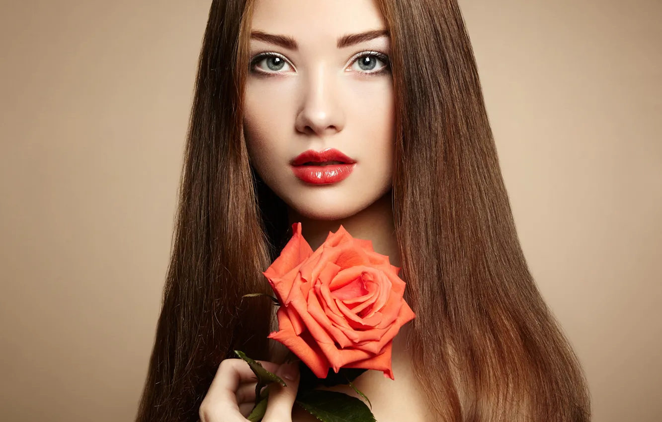 Фото обои цветок, взгляд, девушка, фон, модель, роза, портрет, макияж