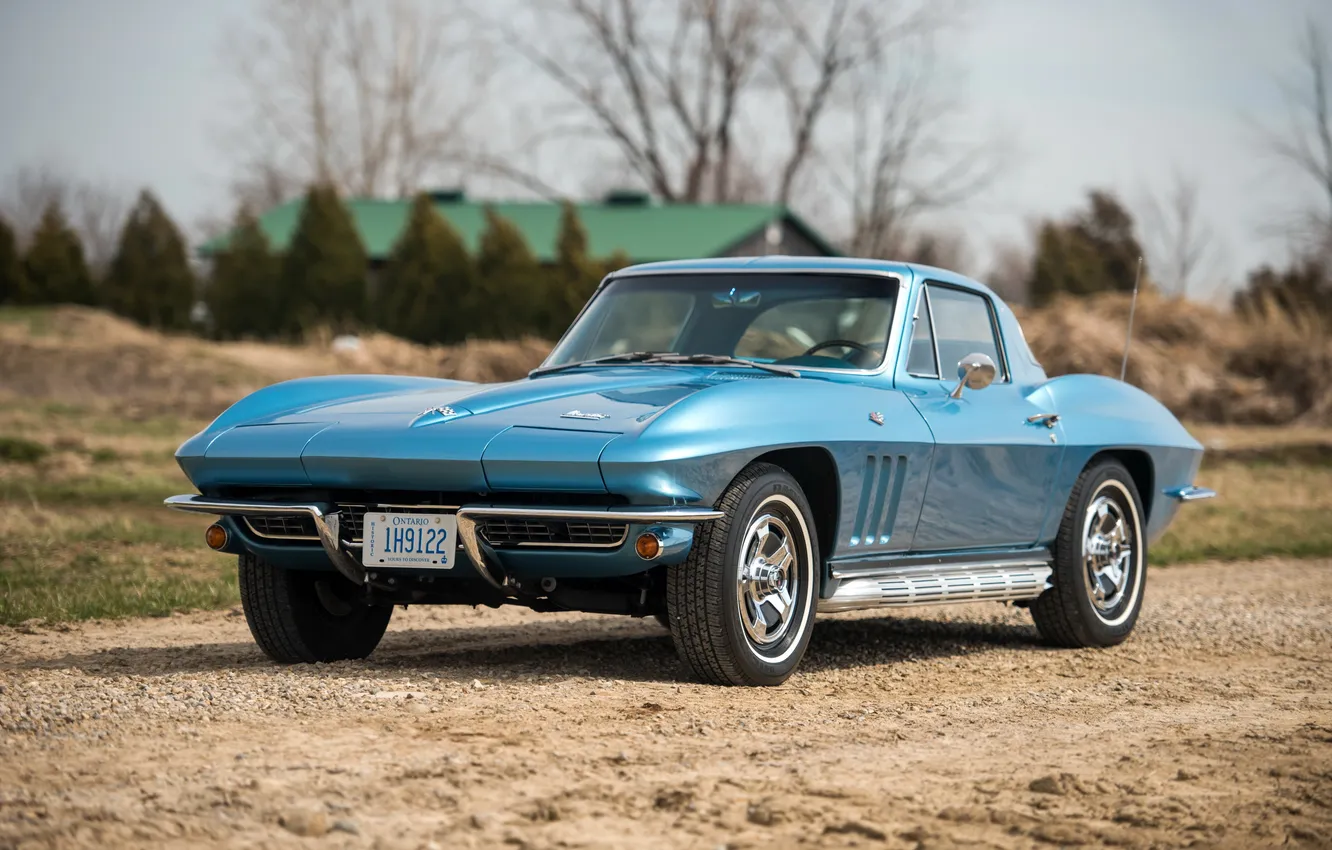 Фото обои Corvette, Chevrolet, шевроле, 1966, Stingray, корветт