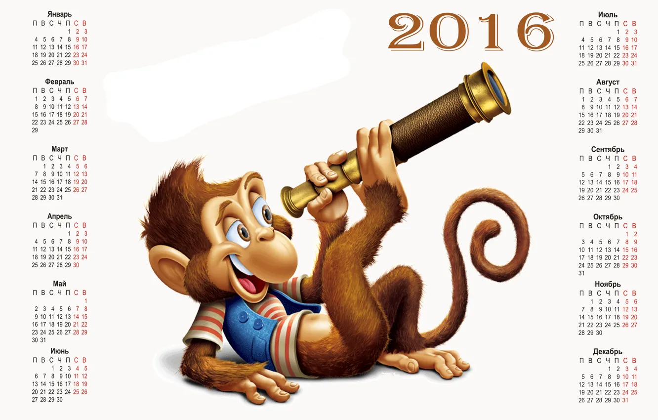 Фото обои обезьяна, monkey, календарь, calendar, 2016