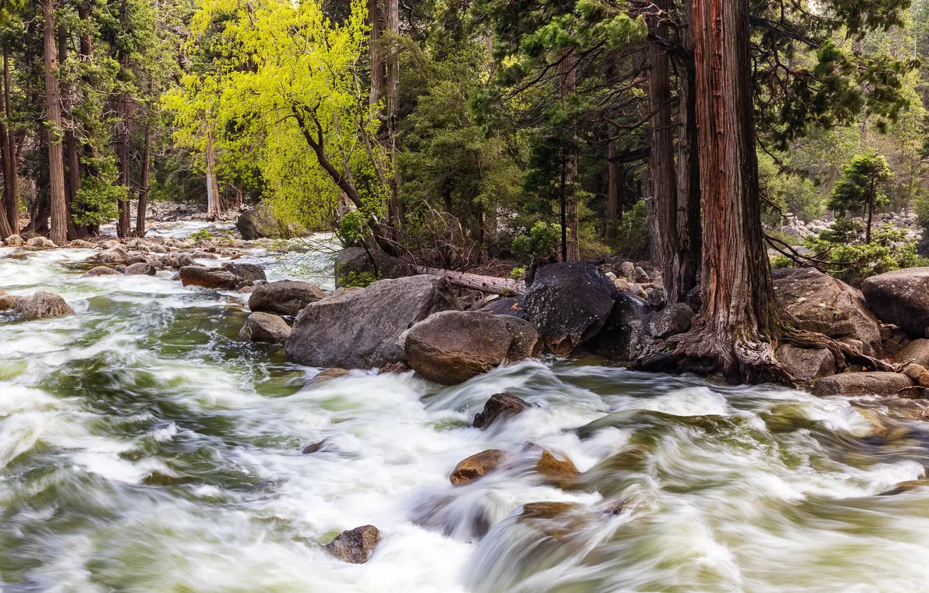 Фото обои United States, California, Yosemite Village