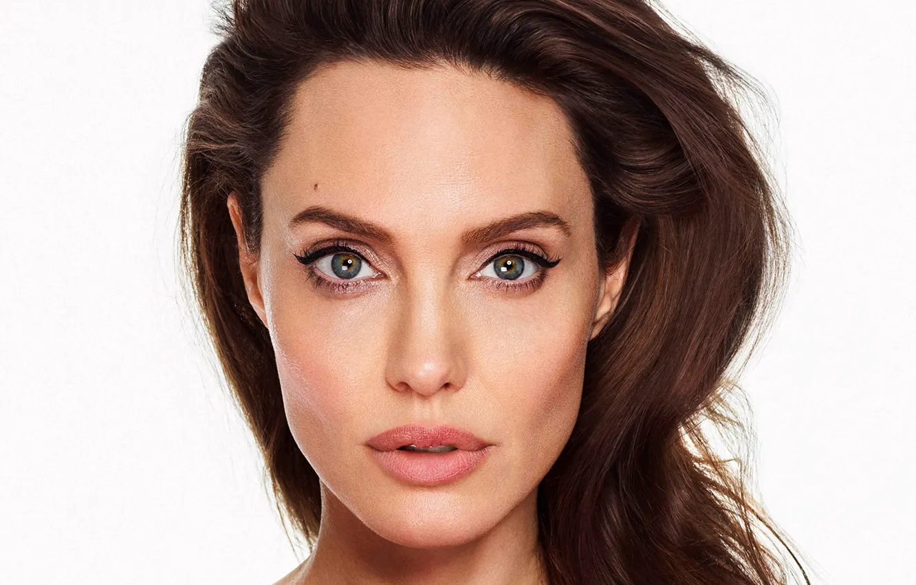 Фото обои портрет, актриса, Анджелина Джоли, Angelina Jolie, белый фон, шатенка, красотка