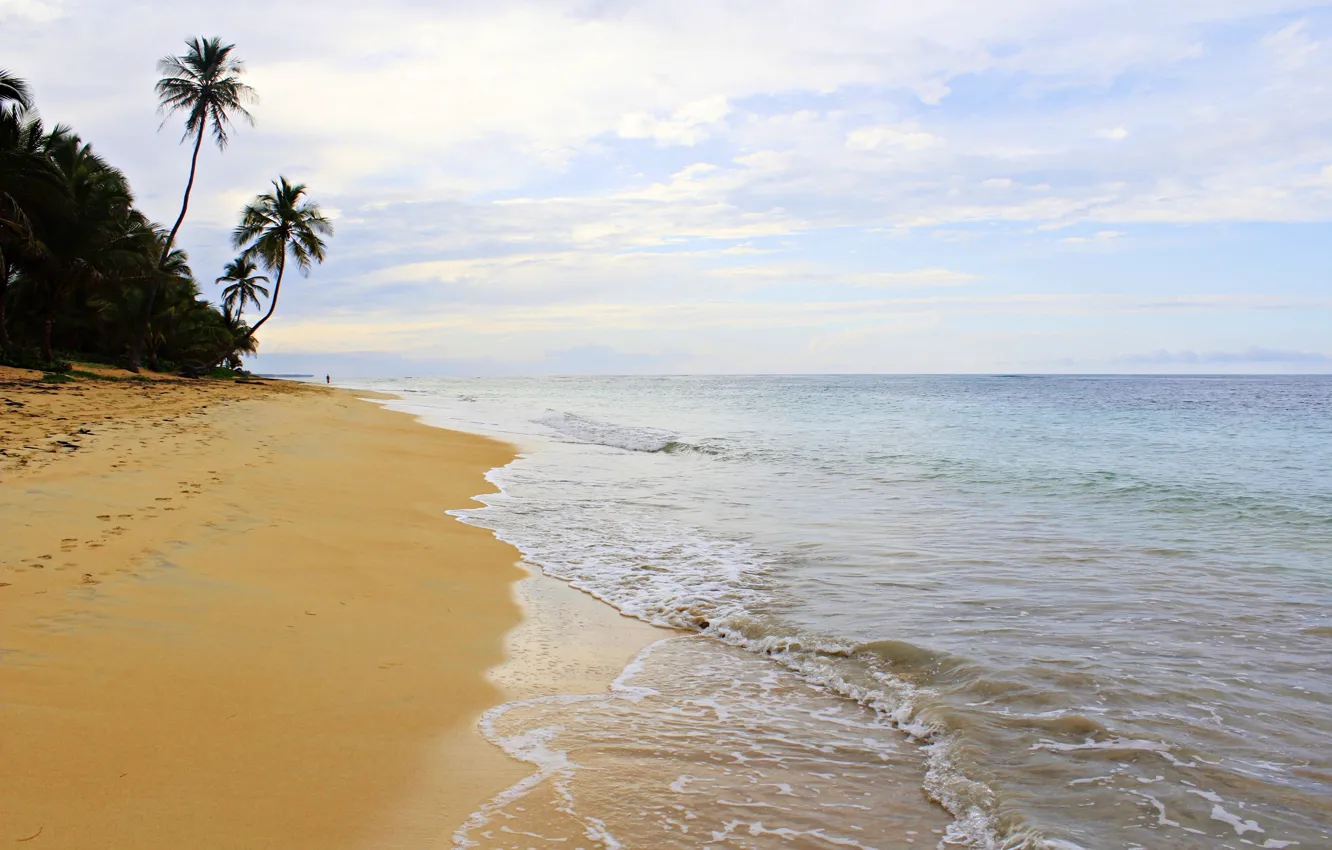 Фото обои песок, пальмы, океан, прибой, Доминикана, доминиканская республика