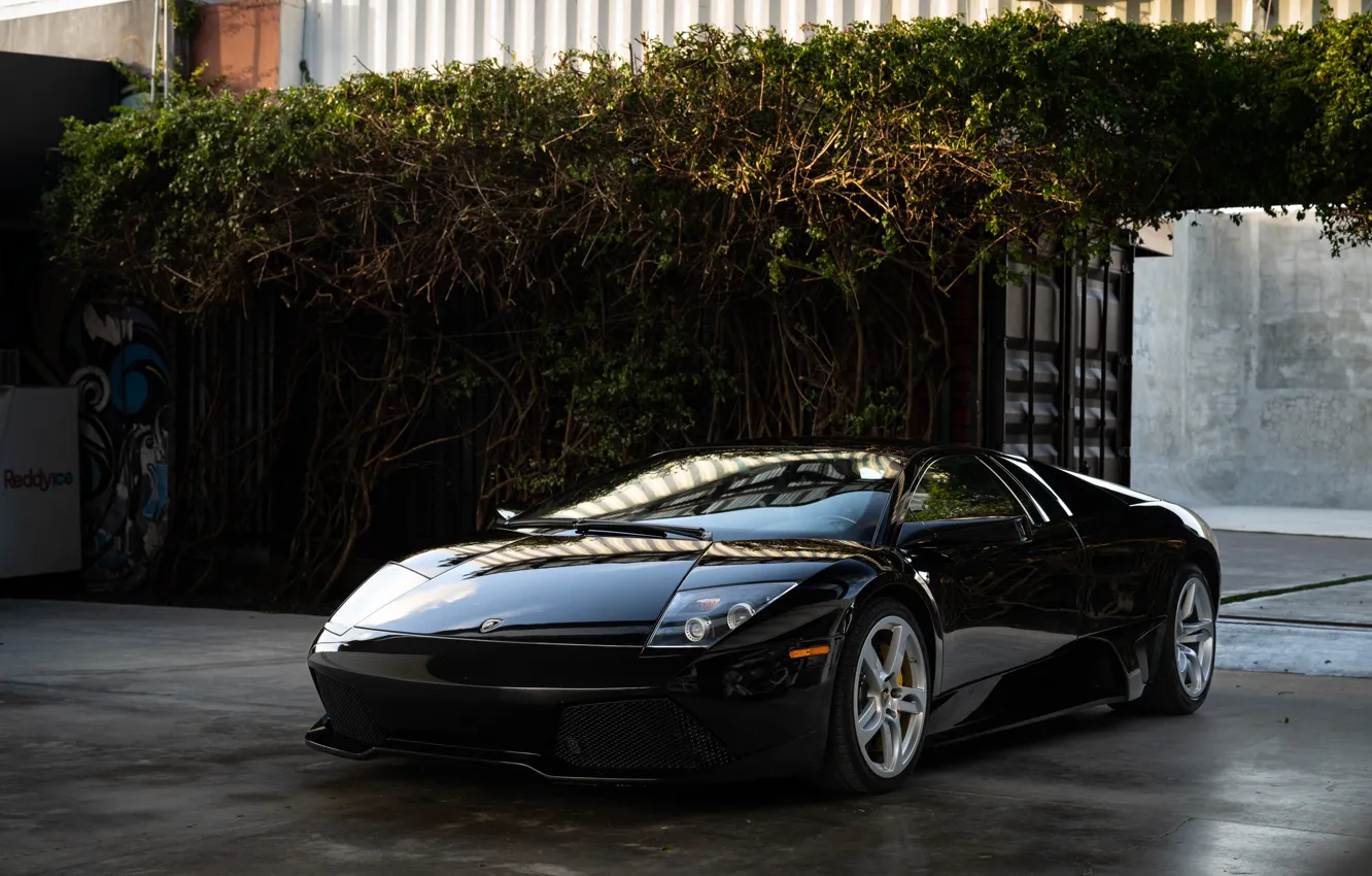 Фото обои Lamborghini, black, Murcielago, Lamborghini Murcielago LP640