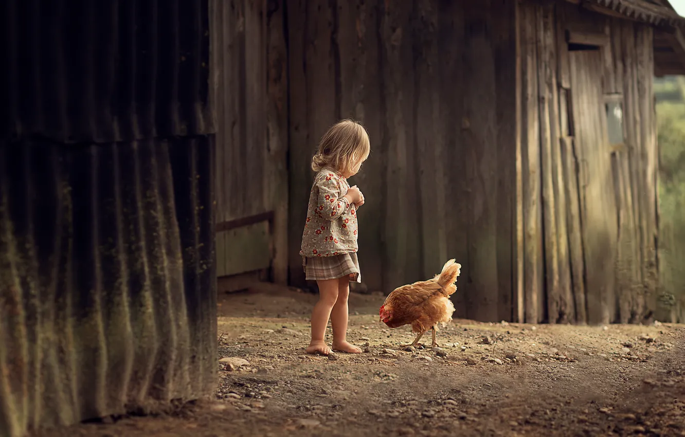Фото обои детство, курица, девочка