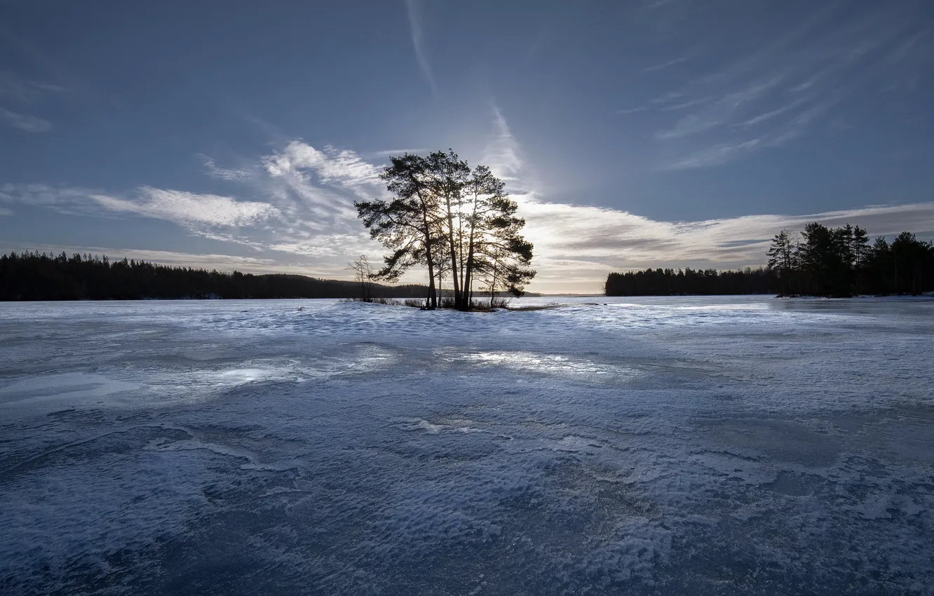 Фото обои зима, небо, деревья, лёд, островок, Финляндия, Finland, Озеро Кариярви