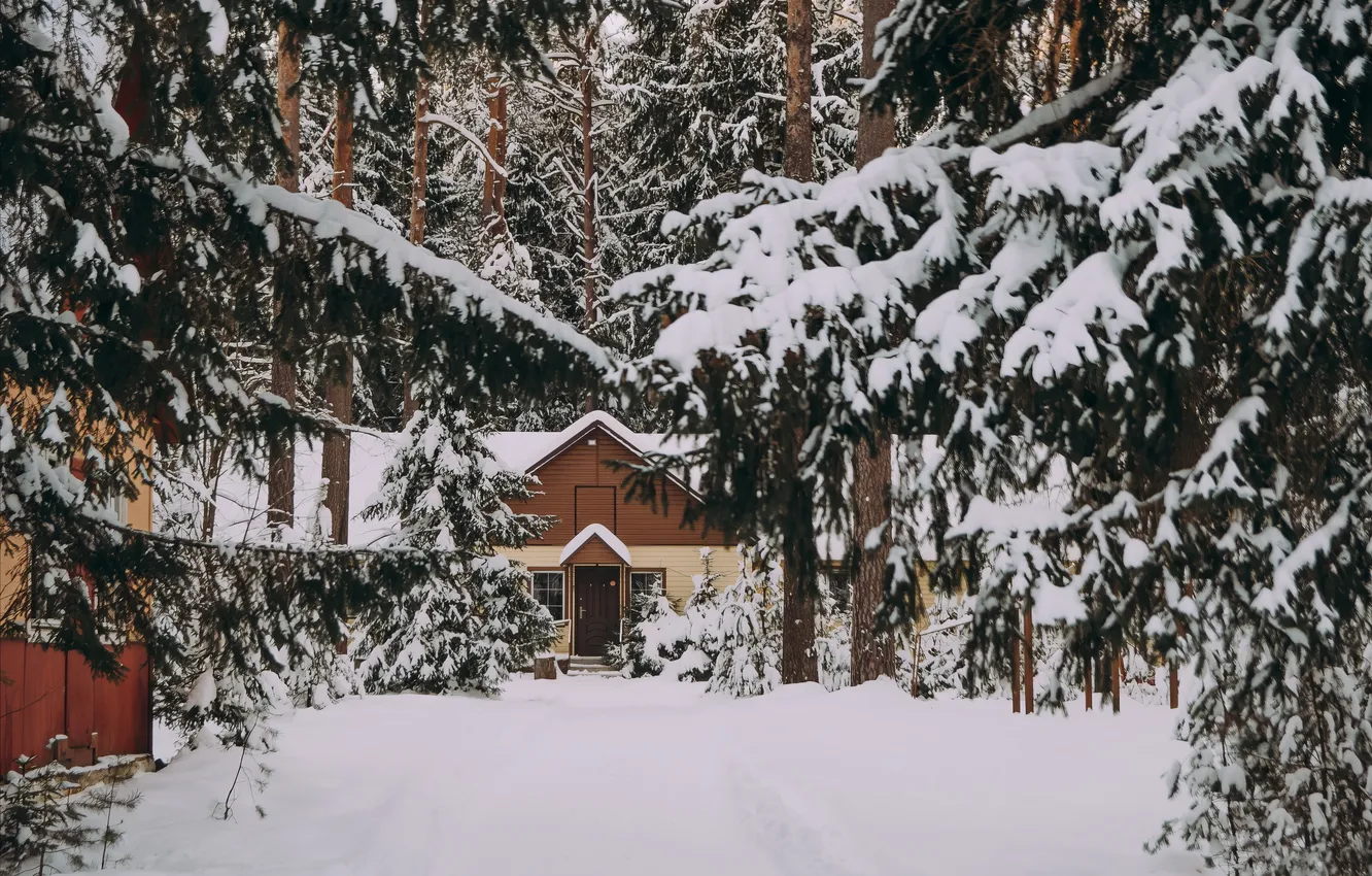 Фото обои Природа, Домик, House, Nature, Зимний лес, Snow trees, Winter forest, Снежные деревья