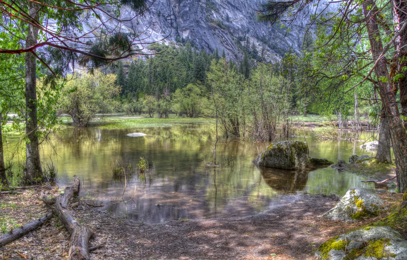 Фото обои лес, вода, деревья, горы, камни, Yosemite National Park