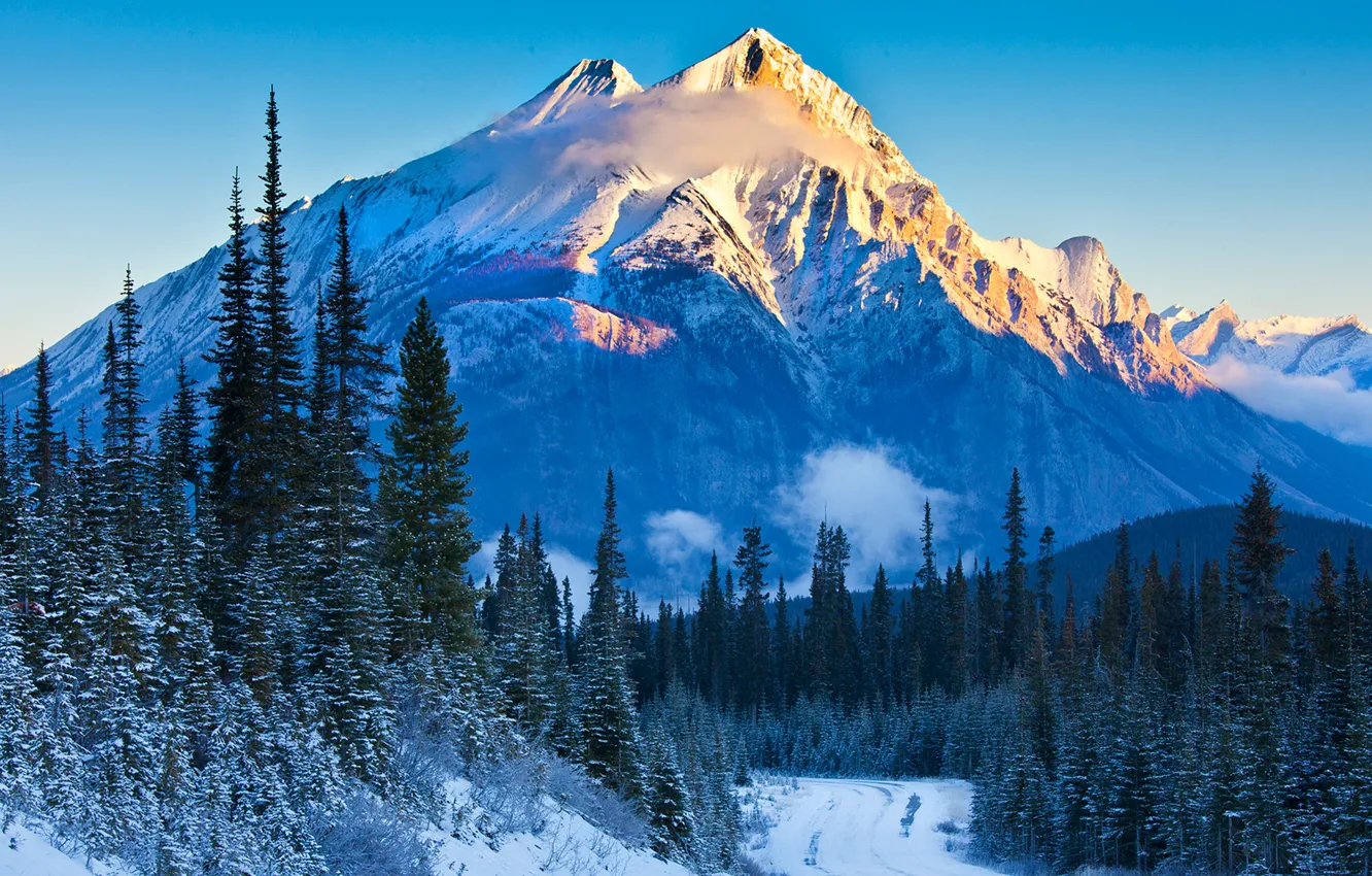 Фото обои зима, дорога, лес, небо, снег, деревья, горы, природа