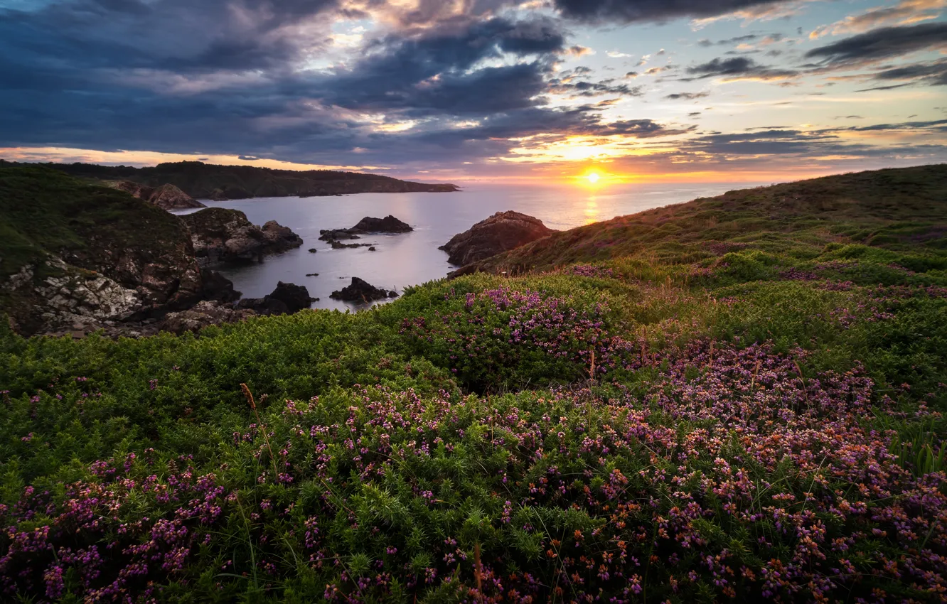 Фото обои море, закат, цветы, скалы, побережье, Испания, Spain, Asturias
