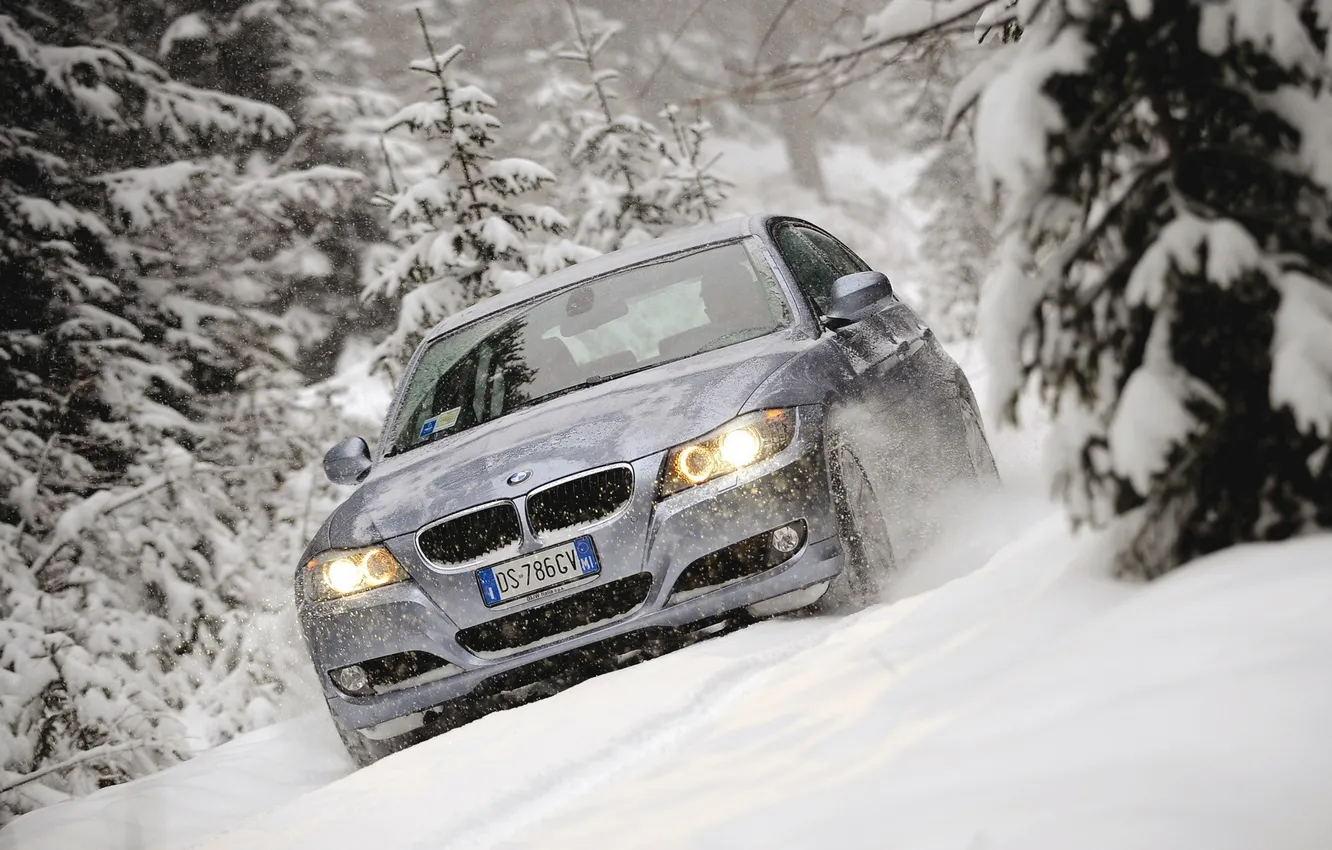 Фото обои снег, палки, BMW, ёлки, Touring, 320d