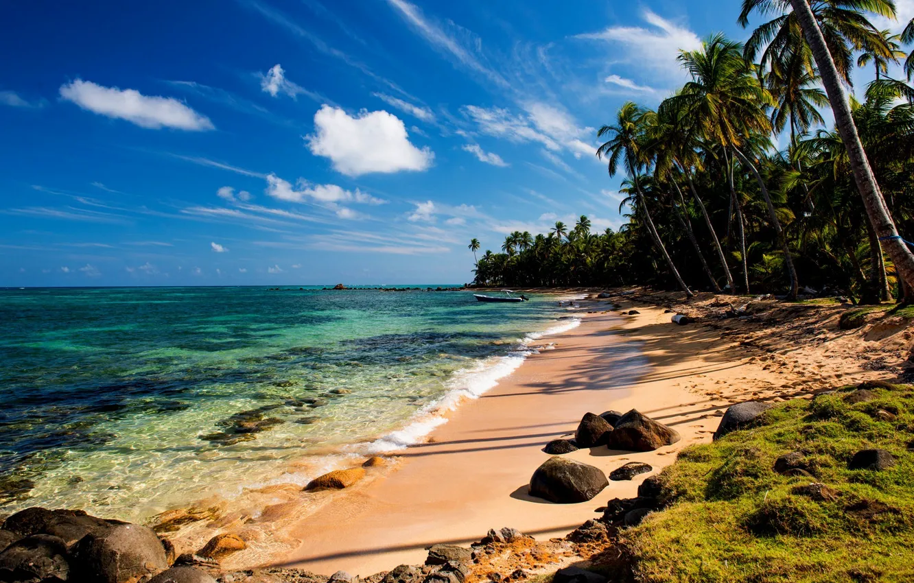Фото обои песок, море, пляж, тропики, камни, пальмы, мох