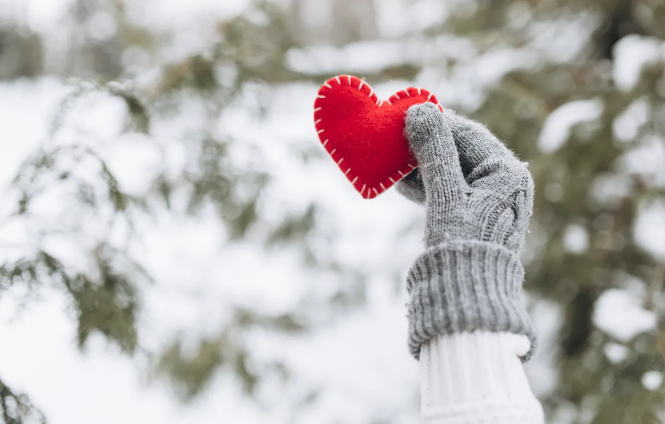 Фото обои зима, снег, любовь, сердце, елка, red, love, heart