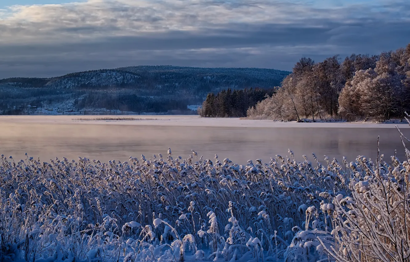Фото обои зима, природа, озеро