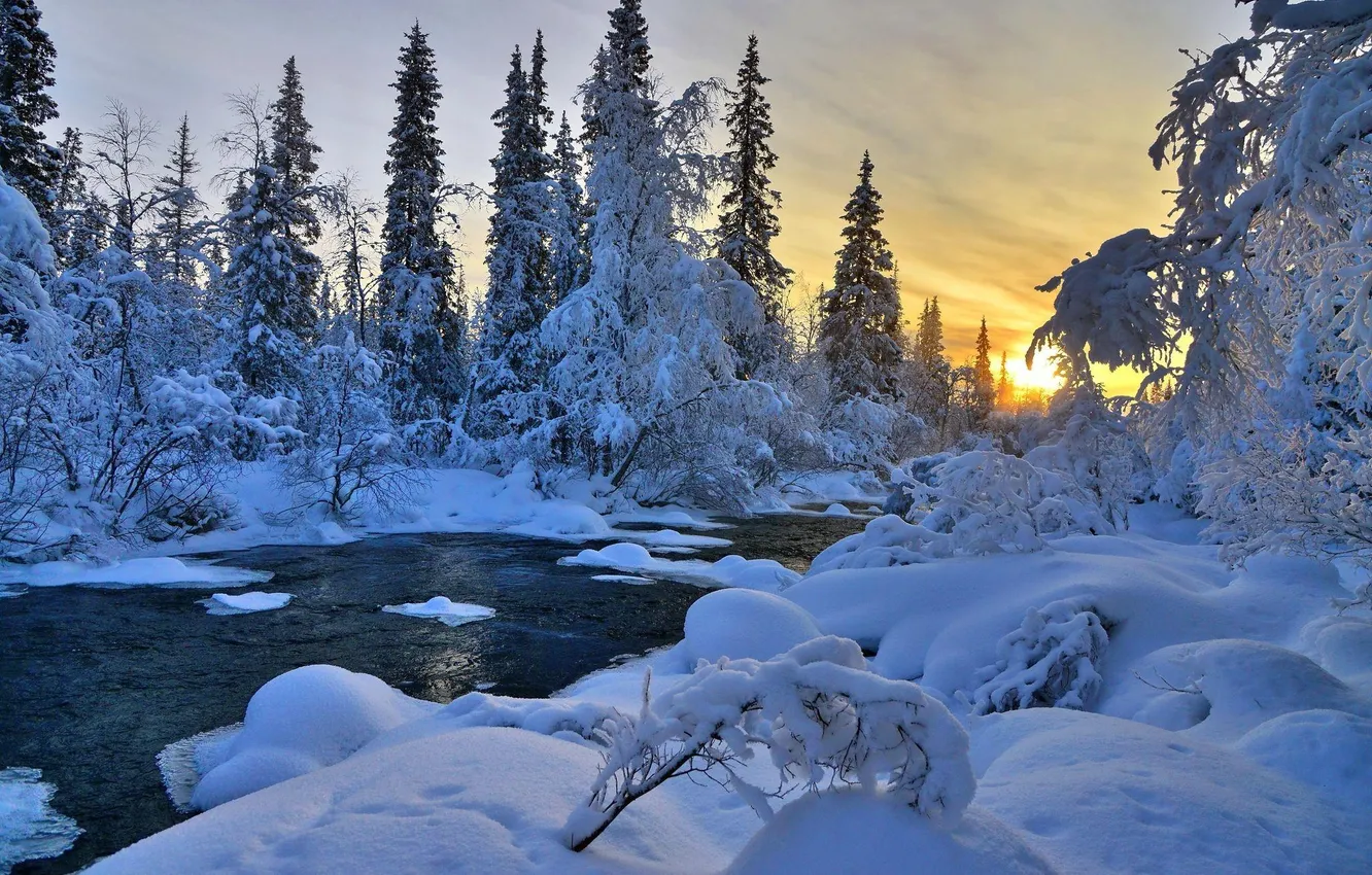 Фото обои зима, лес, небо, снег, деревья, природа, река, ель