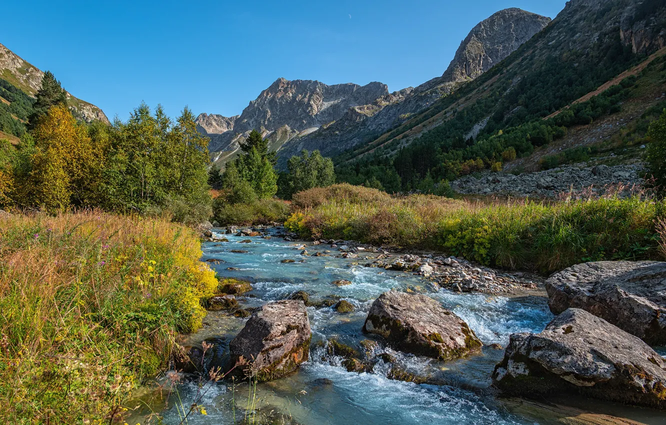Фото обои деревья, горы, река, камни, Россия, Домбай, Карачаево-Черкесия, Большой Кавказ