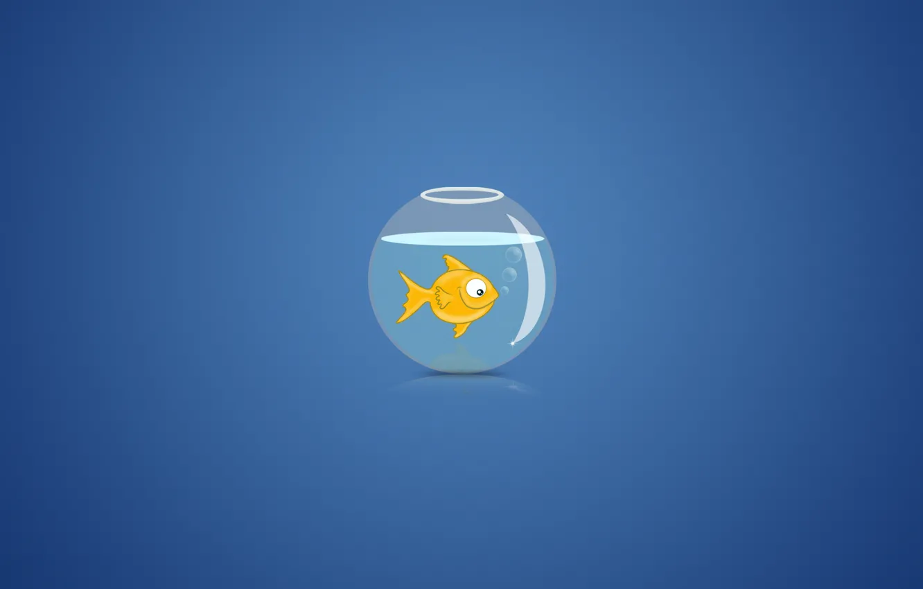 Фото обои вода, пузыри, фон, аквариум, золотая рыбка