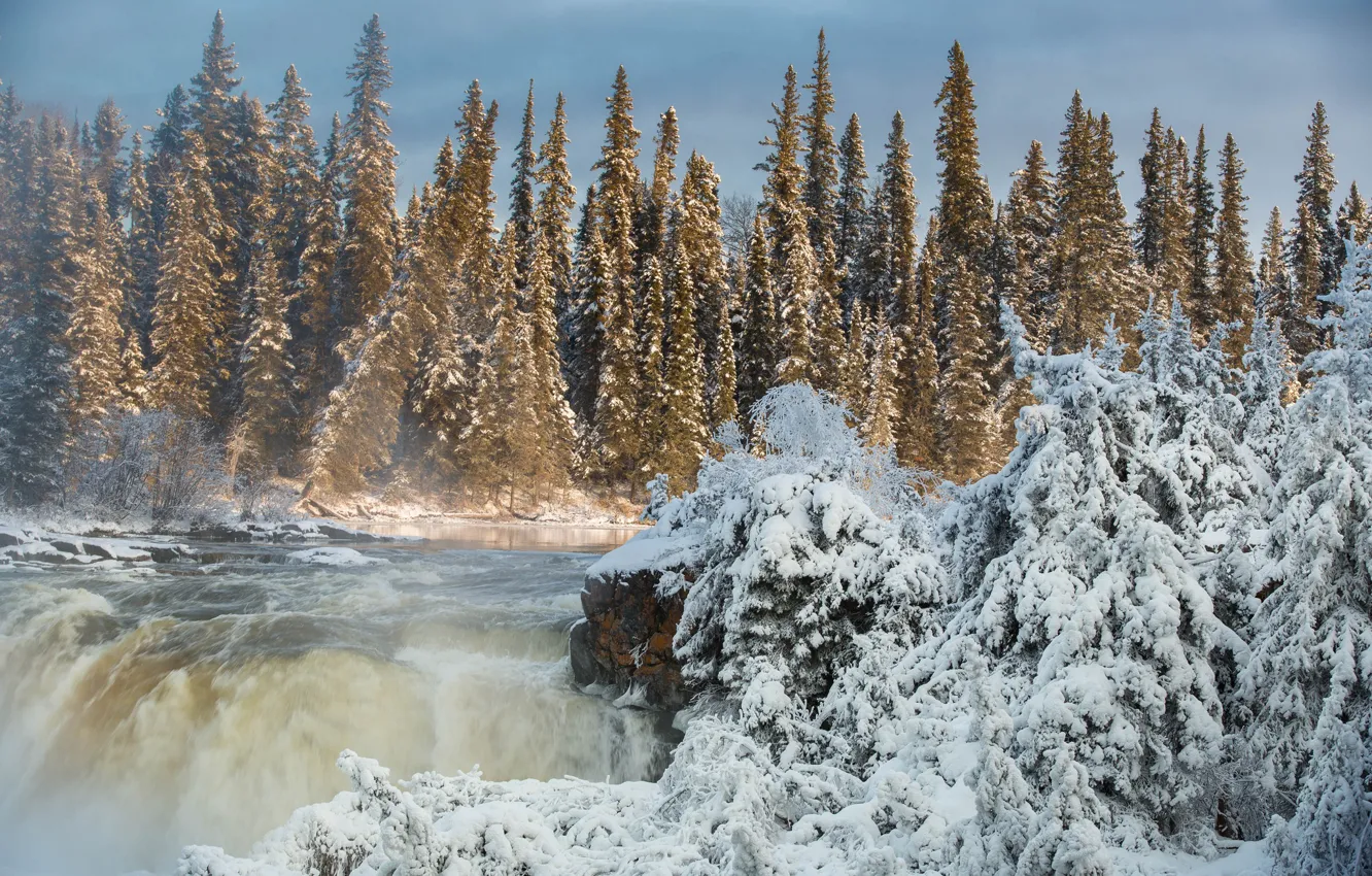 Фото обои зима, лес, река, водопад, ели, Канада, Canada, Manitoba