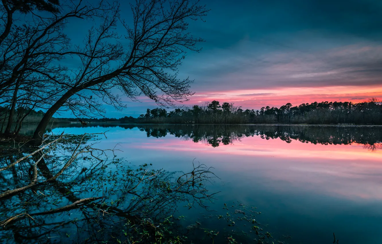 Фото обои деревья, пейзаж, закат, природа, озеро, берега