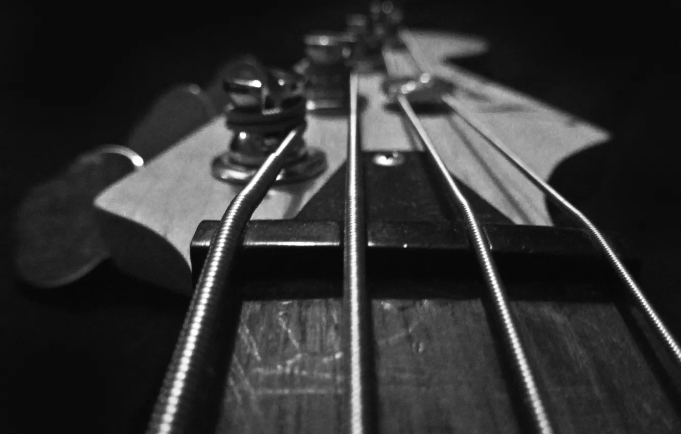 Фото обои макро, гитара, струны, guitar, колки, гриф, бас, Bass