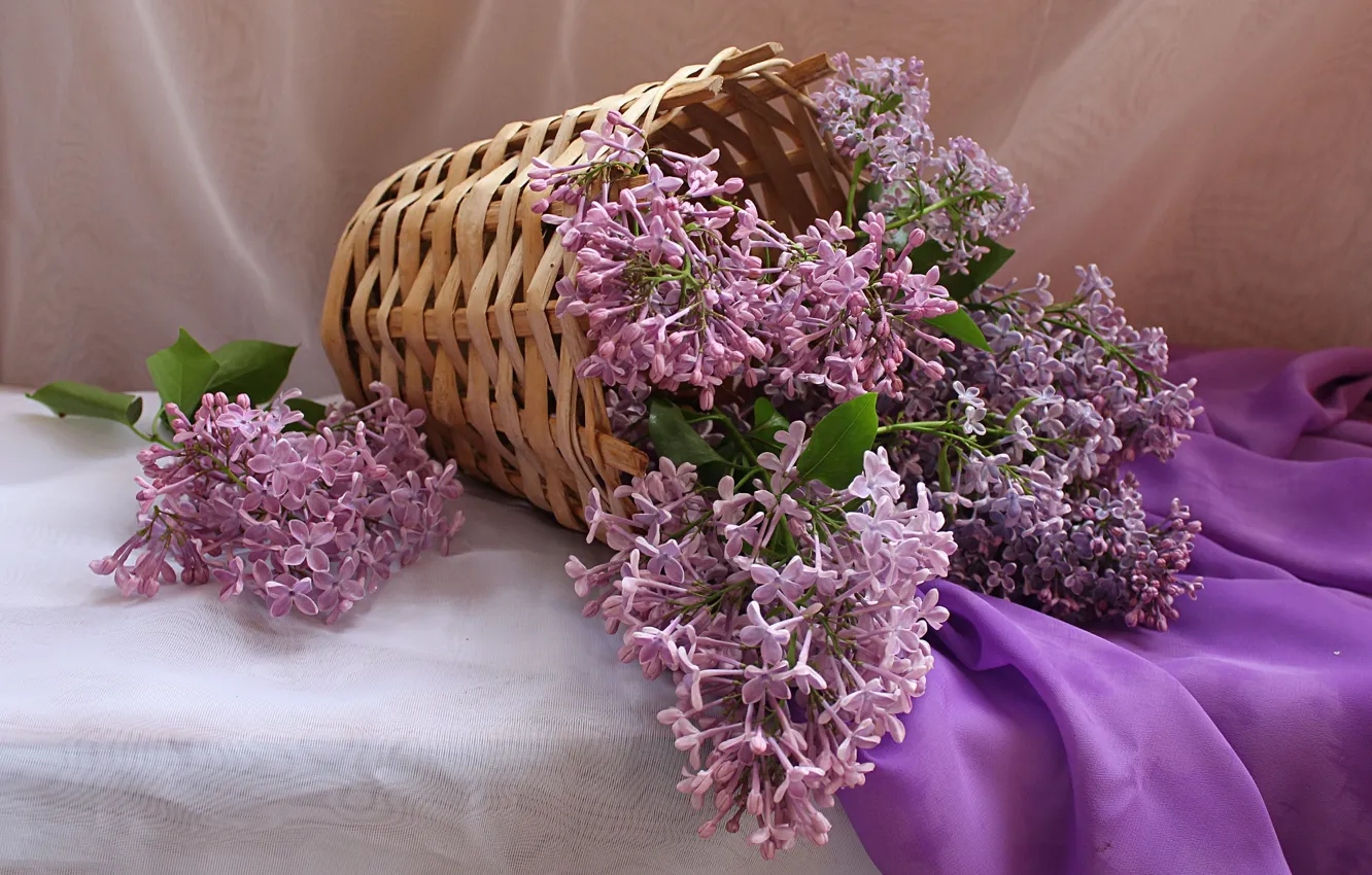 Фото обои цветы, корзина, букет, весна, натюрморт, сирень