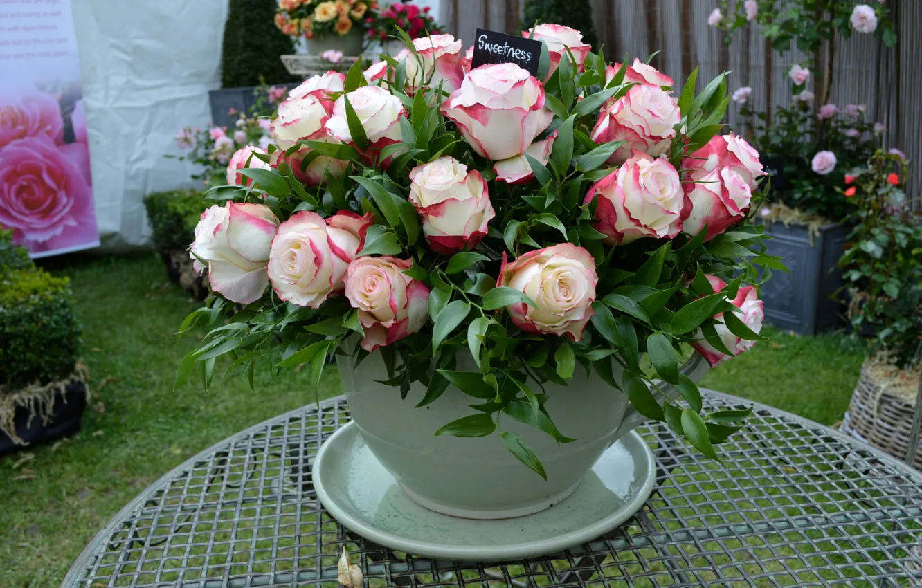 Фото обои цветы, розы, букет, чашка, rose, flowers, Cup, bouquet