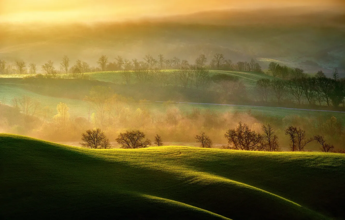 Фото обои свет, поля, утро, пар, Италия, Ашано, регион Тоскана