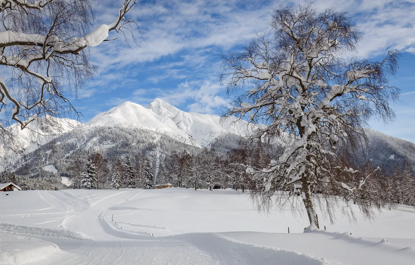 Фото обои зима, дорога, снег, деревья, пейзаж, горы, природа, красота