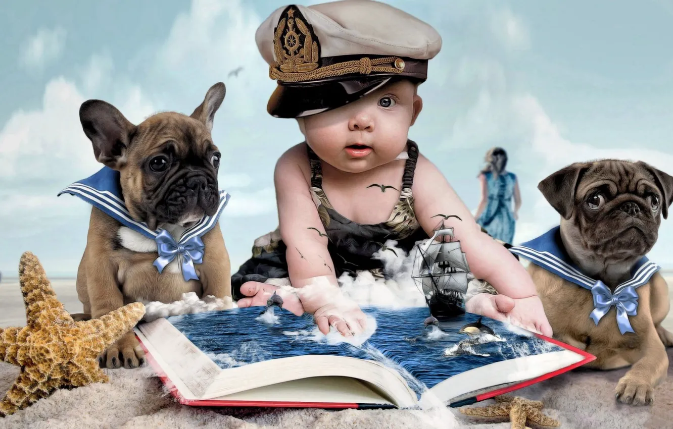 Фото обои песок, облака, детство, ребенок, морская звезда, книжка, лялька, две собачки