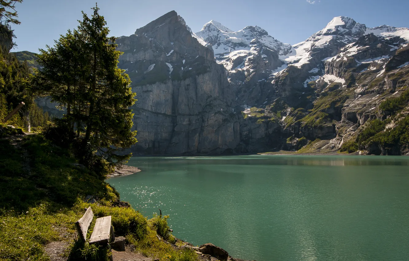 Фото обои деревья, горы, скамейка, озеро, Швейцария, Switzerland