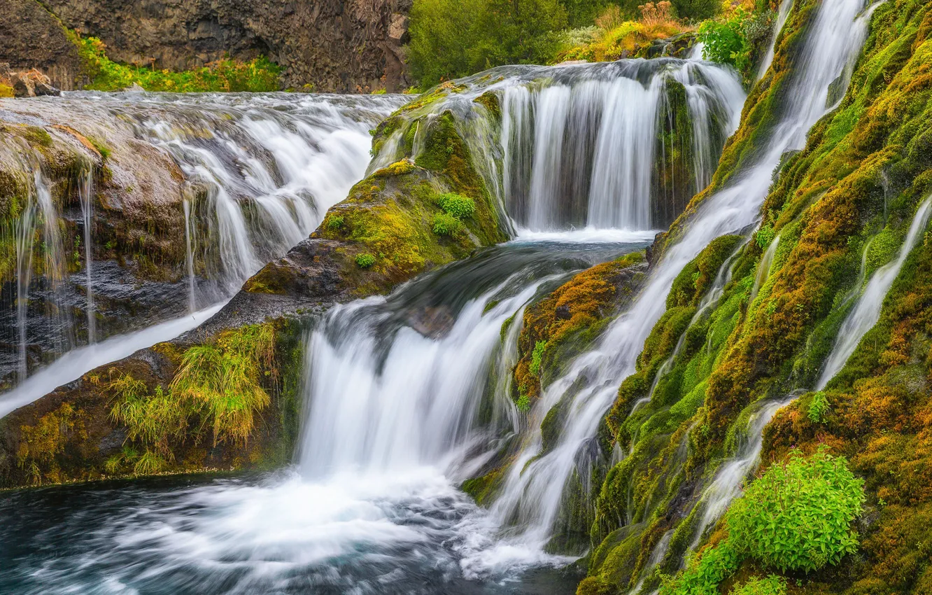 Фото обои водопад, мох, каскад, Исландия, Iceland, Gjáinfoss