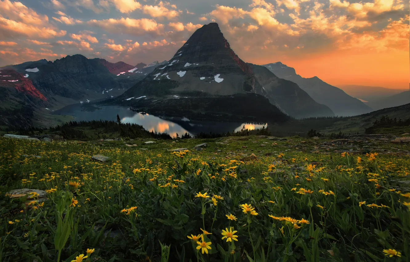 Фото обои закат, цветы, горы, водоем