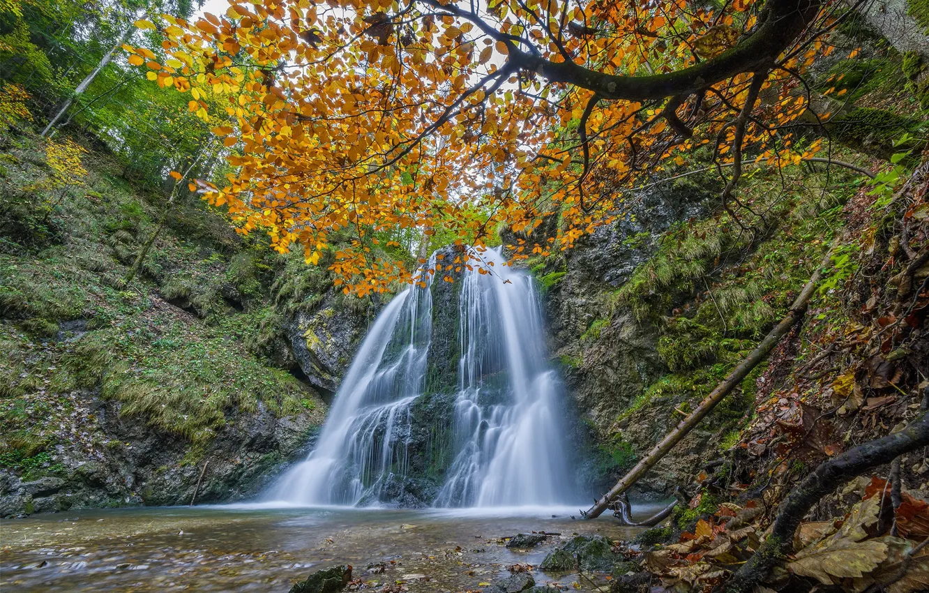 Фото обои осень, деревья, скала, река, водопад, Германия, Бавария, каскад