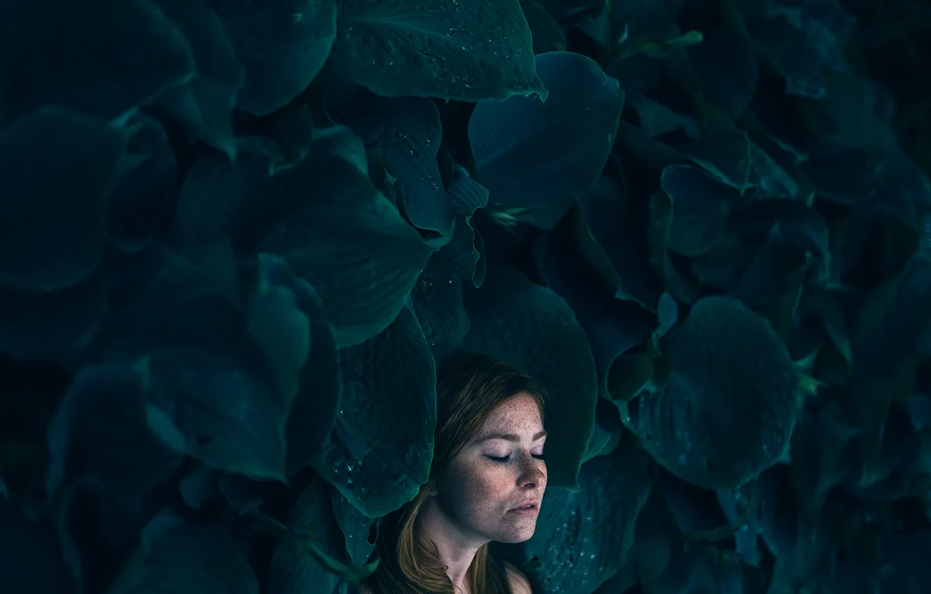 Фото обои листья, девушка, капли, веснушки, Michael Färber