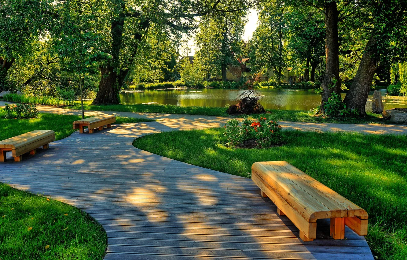 Фото обои road, park, bench