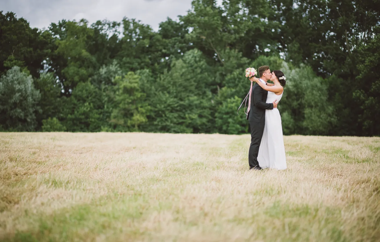 Фото обои поле, трава, поцелуй, платье, костюм, невеста, жених